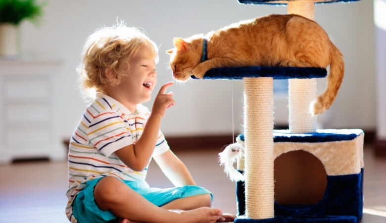 Kedi Sahiplenmek Çocukların Gelişimine Nasıl Katkı Sağlar?